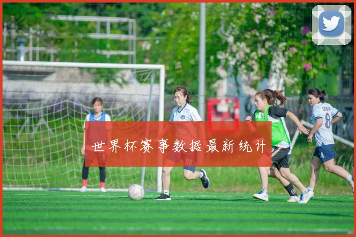 世界杯赛事数据最新统计